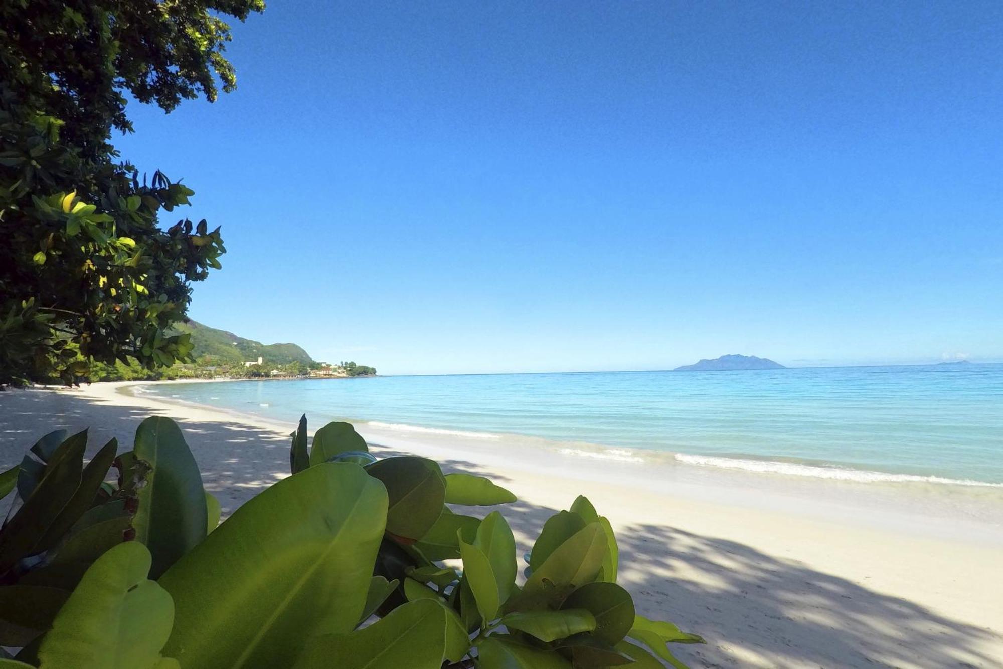 Beach View Villa - Beauvallon Villas Beau Vallon  Eksteriør bilde
